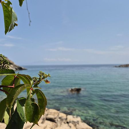 PalaiónTsiflíkion Beach Apartment מראה חיצוני תמונה