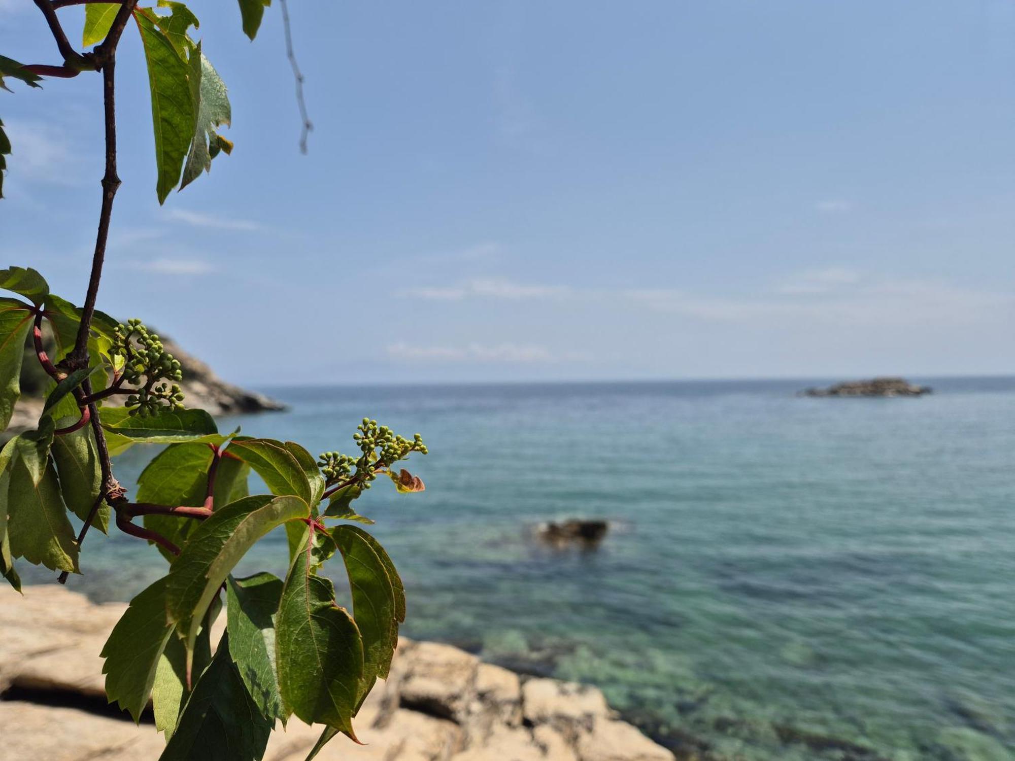 PalaiónTsiflíkion Beach Apartment מראה חיצוני תמונה